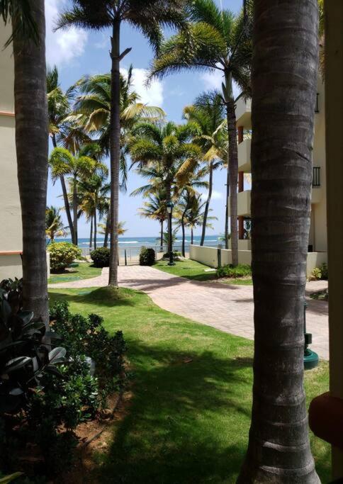 1St Level Unit Steps To Beach- Cold Air Conditioner At Poza Del Mar Luquillo Bagian luar foto